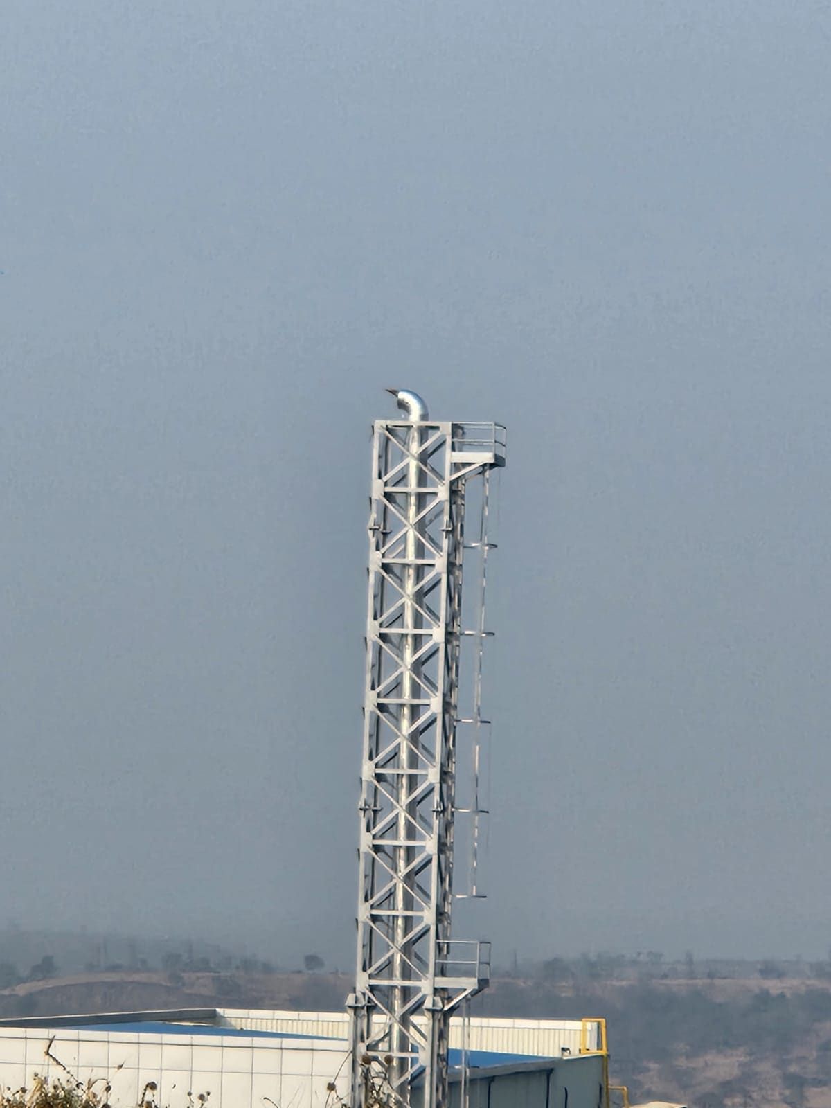 Telephoto detail of the stack top: insulated riser, rain-cap elbow, caged ladder and platform